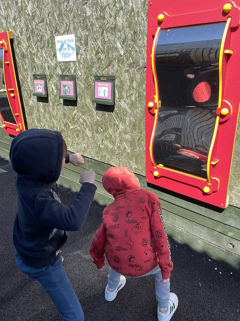 Silly Mirrors at Liberty's Owl, Raptor and Reptile Centre