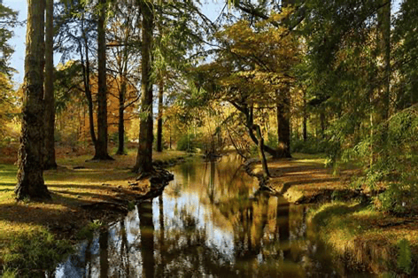family friendly bike routes in the New Forest