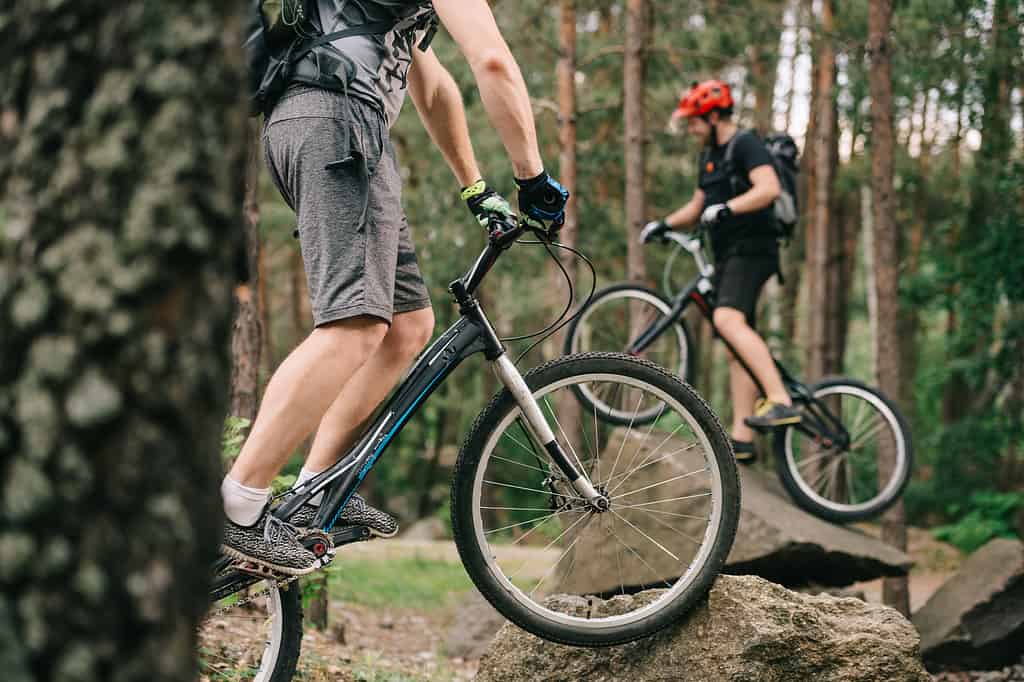 Family Friendly bike routes in the New Forest